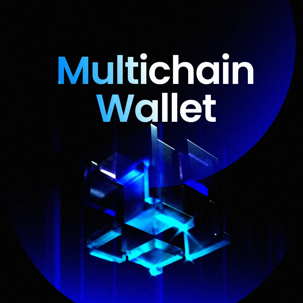 Multichain Wallet- Convenience with One-Stop Access