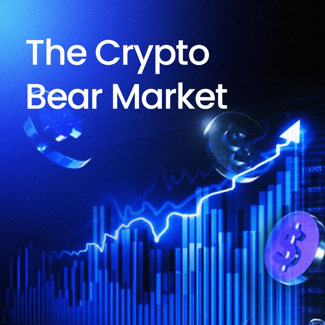 NFTs Unaffected by the Crypto Bear Market ?