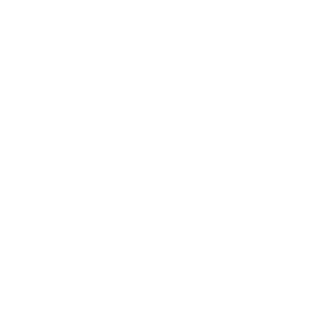 Aerie-logomark